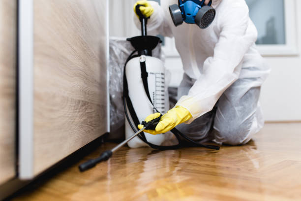 Insect Control in Tualatin, OR