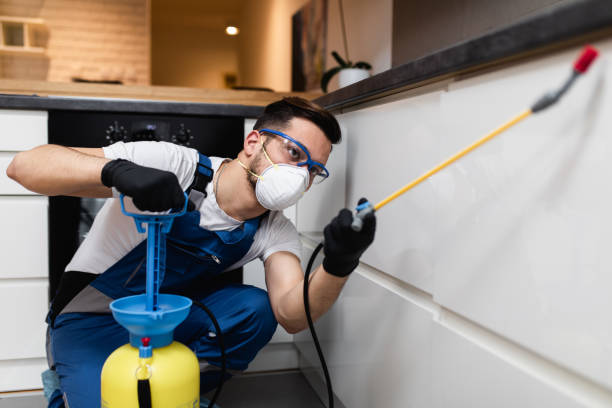 Best Emergency Pest Control  in Tualatin, OR