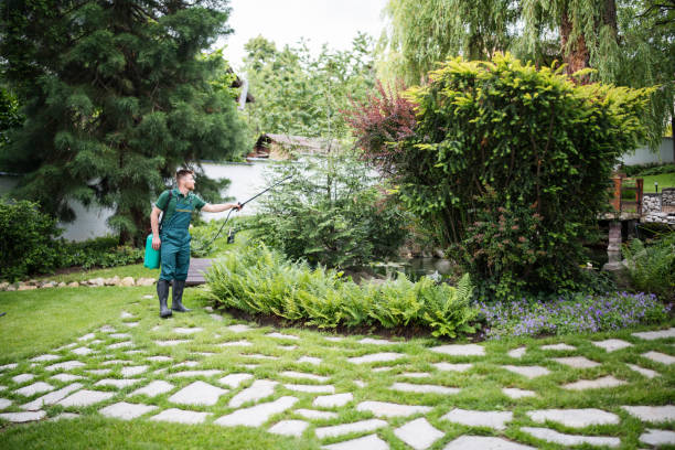 Best Exterminator Services  in Tualatin, OR