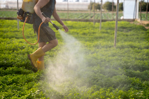 Best Mosquito Control Services  in Tualatin, OR