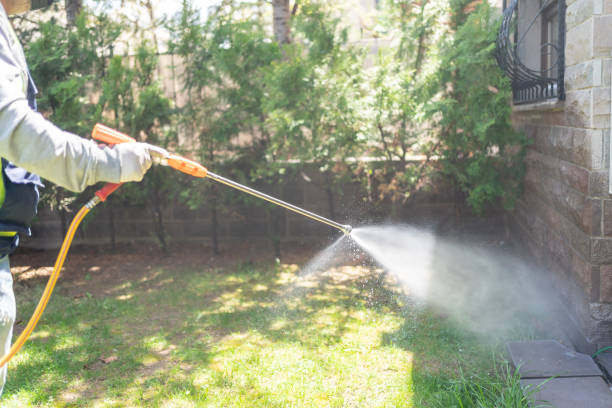 Best Rat Extermination Near Me  in Tualatin, OR