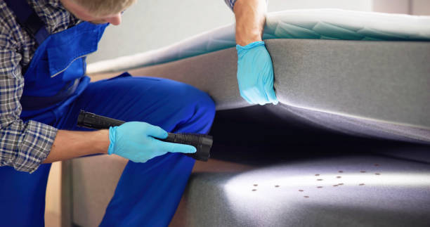 Best Wasp Removal Services  in Tualatin, OR
