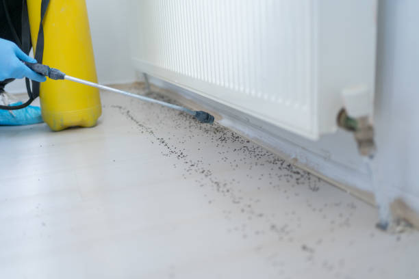 Best Commercial Pest Control Services  in Tualatin, OR
