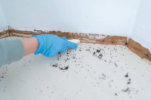Best Local Pest Control Services  in Tualatin, OR